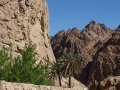 Three Peaks Egypt, monastery garden Wadi Talla.jpg