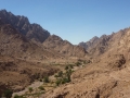 Wadi Tlaah, with Bedouin gardens, Three Peaks Egypt, Ben Hoffler