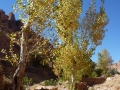 Bedouin garden, Wadi Zawatin, Three Peaks Egypt, Ben Hoffler