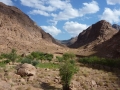 Bedouin orchard, Wadi Farra, Three Peaks Egypt, Ben Hoffler