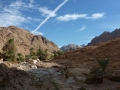 Wadi Tlaah orchards, Three Peaks Egypt, Ben Hoffler