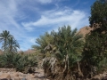 Wadi Tlah oasis, Three Peaks Egypt, Ben Hoffler